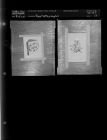Re-photographs (2 Negatives (August 4, 1960) [Sleeve 13, Folder d, Box 24]